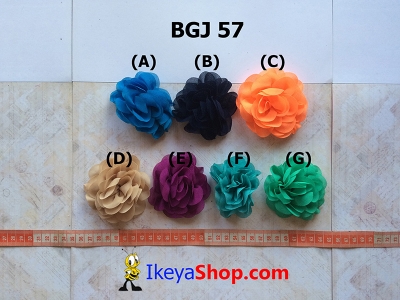 BGJ 57  large2